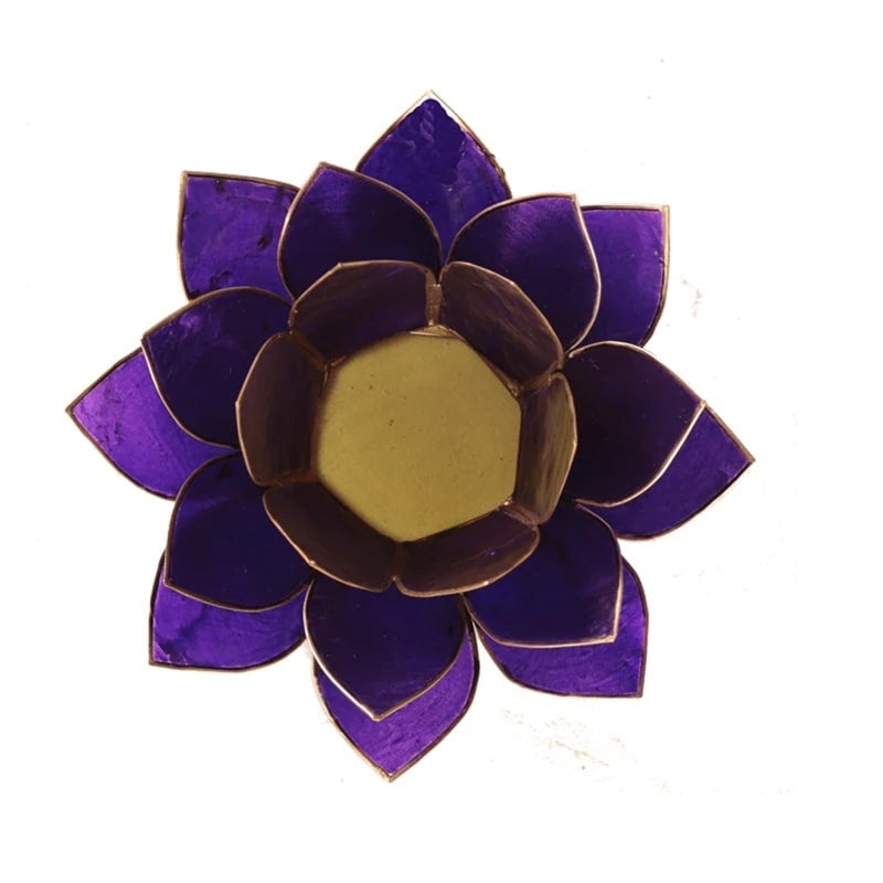 Lotus atmosfærisk lys chakra 7 violet
