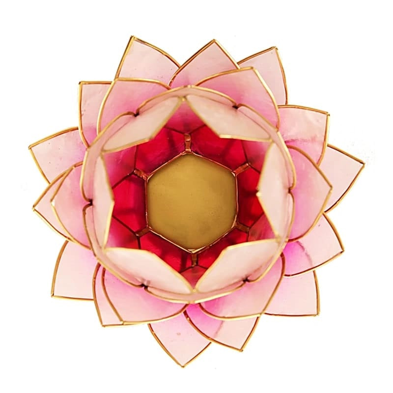 Lotus lys pink/lyse pink med guld kant