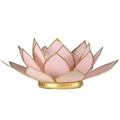 Lotus atmosfærisk lys pastel pink guld trim