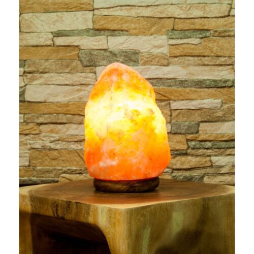 saltlampe med ledning