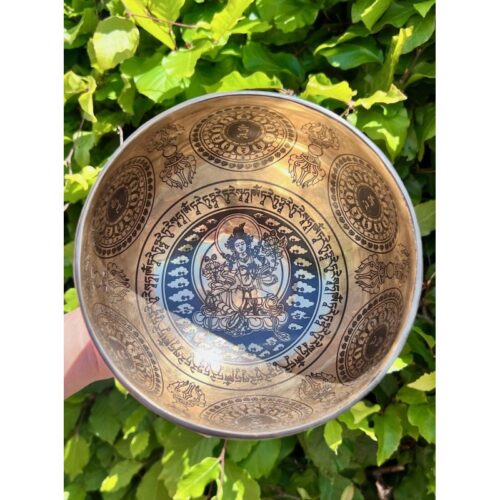 syngeskål med grøn tara