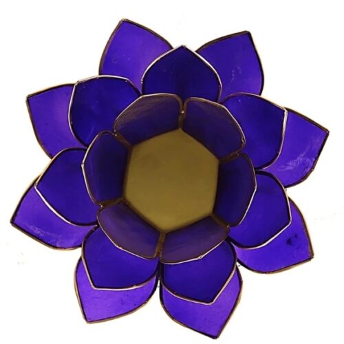 Indigo lotus lysestage - Billede 2
