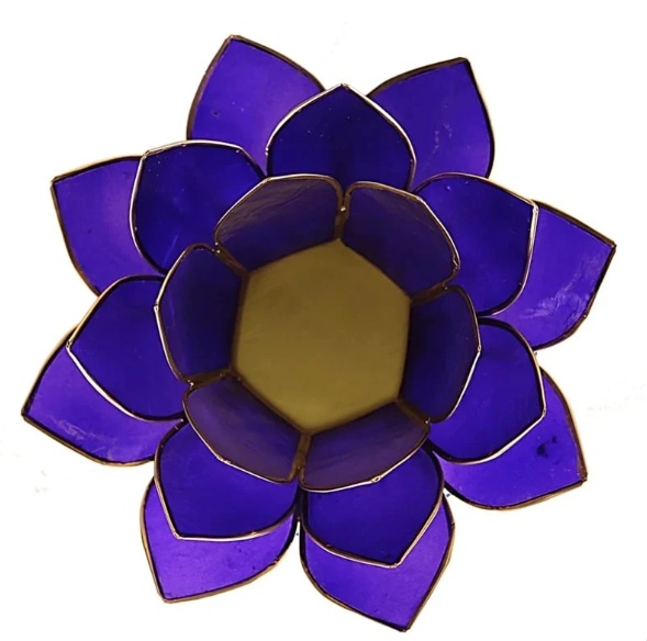 Indigo lotus lysestage - Billede 2