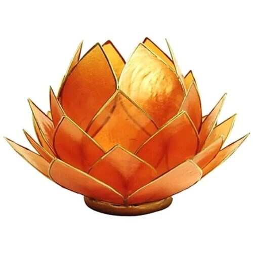 lotus lysestage i orange